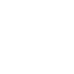 twitter-logo-button